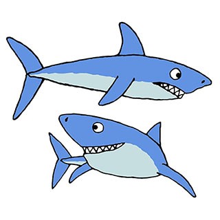 Ocean