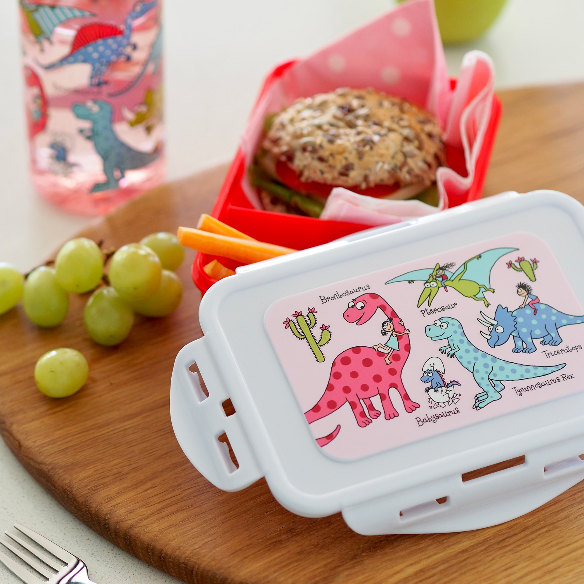Dinosaur Pink Lunch Box