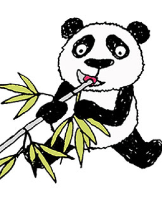 Pandas